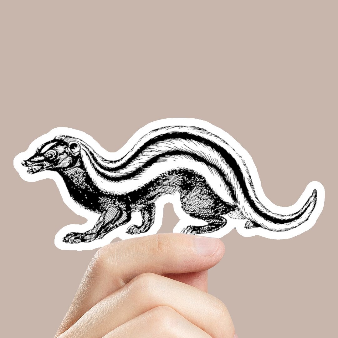 Skunk Sticker Skunk Sticker - Etsy