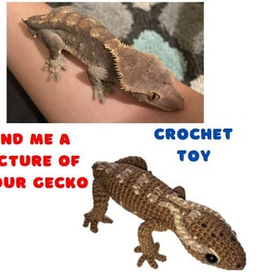 Op de afbeelding: Een bruine en tan gekko rust op een arm boven een gehaakt speelgoed gekko. De gehaakte speelgoed gekko is bruin en tan met zwarte ogen. Tekst in de afbeelding luidt "SEND ME A PICTURE OF YOUR GECKO" en "CROCHET TOY".