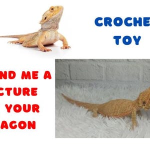 May include: Crochet toy of a bearded dragon, with the text "SEND ME A PICTURE OF YOUR DRAGON" and "CROCHET TOY" on the image.