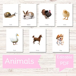FARM ANIMALS • Editable Montessori Cards • Flash Cards Nomenclature FlashCards PDF Printable Cards preschool Toys Flashcard