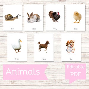 FARM ANIMALS • Editable Montessori Cards • Flash Cards Nomenclature FlashCards PDF Printable Cards preschool Toys Flashcard