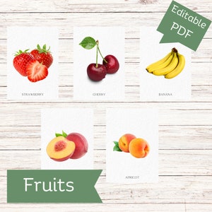 FRÜCHTE (echte Bilder) • Editierbare Montessori Karten • Karteikarten Nomenklatur Karteikarten Pdf Druckbare Karten Montessori Spielzeug für die Vorschule