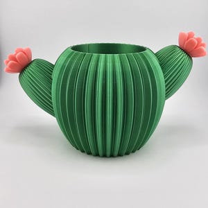 Cactus Planter pot or desk cup