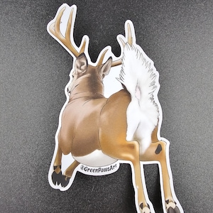 Leaping Whitetail Buck
