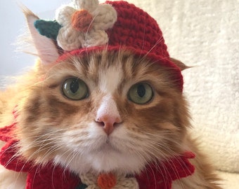 Disfraz, gorro y collar de gato rojo de crochet