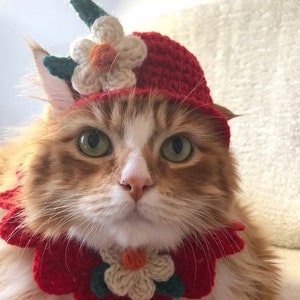 Cat clothing canada new arrivals