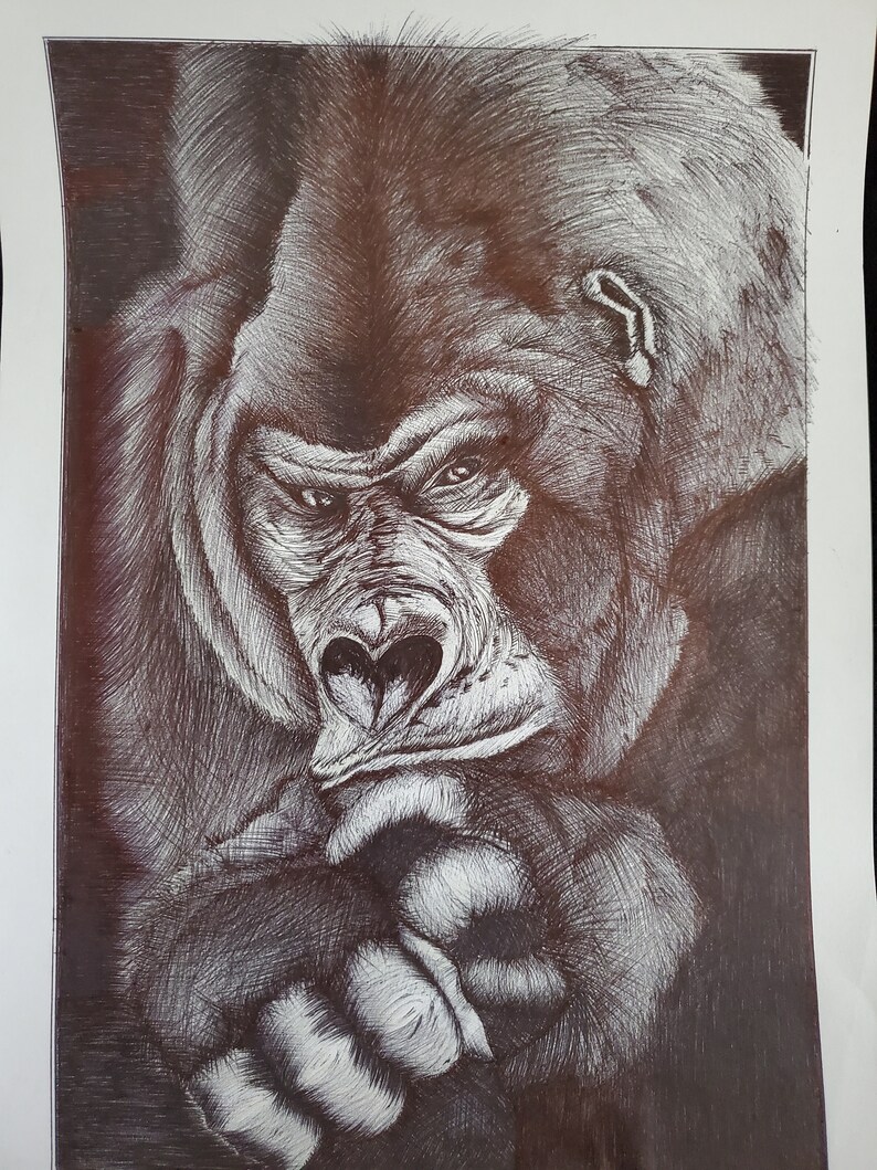 Dessin au stylo bic.
Dessin au stylo bic de gorille sur feuille A4