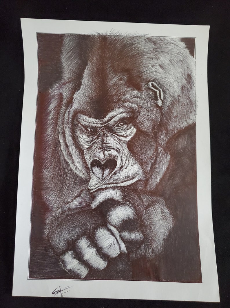 Gorille dessiné au stylo bic Illustration avec cadre de gorille Dessin au stylo bille noir et blanc image 3