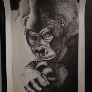 Gorille dessiné au stylo bic Illustration avec cadre de gorille Dessin au stylo bille noir et blanc image 5