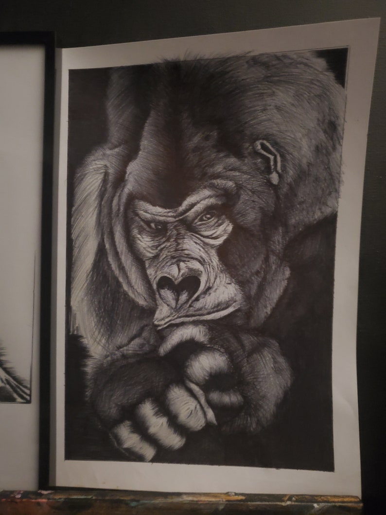 Gorille dessiné au stylo bic Illustration avec cadre de gorille Dessin au stylo bille noir et blanc image 6