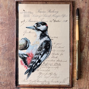 Pica-pau-malhado-grande | Pintura em aquarela e tinta | Presente exclusivo | Presente para amantes da natureza | Presente animal | Objetos efêmeros vintage originais | Emoldurado