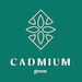 Cadmium Green Jewelry