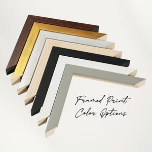Pu&ograve; includere: Una selezione di opzioni di colore per stampe incorniciate, che mostra vari campioni d'angolo. I campioni includono marrone scuro, oro, bianco, legno naturale, nero, bianco e grigio. Il testo recita "Opzioni colore stampa incorniciata."