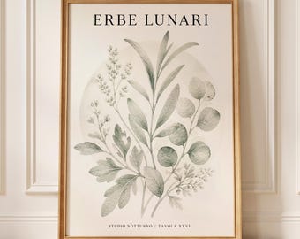 Neutral Botanical Wall Art Print, Sage Green Leaf Poster, Vintage Italian Herb Illustration, Minimalist Farmhouse Nature Decor for Kitchen