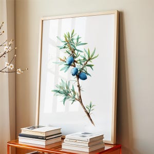May include: A framed botanical print featuring a branch with blue berries and green leaves. The artwork is set against a white background and framed in light wood. The print is displayed on a red table with books.