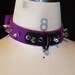 Purple D-Ring Collar