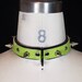 Lime Green D-ring Collar