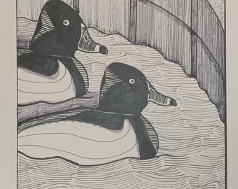 Ring-necked Ducks Ink Drawing