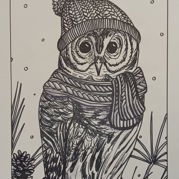 Barred Owl Ink Drawing