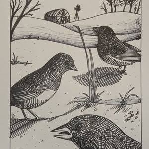 Può includere: Disegno a inchiostro nero e bianco di tre uccelli in un ambiente rurale. Gli uccelli sono appollaiati su una collina erbosa con una fattoria e un mulino a vento sullo sfondo.