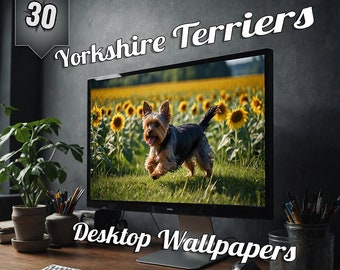 Yorkshire Terrier Wallpapers for PC or Mac Desktops and Laptops