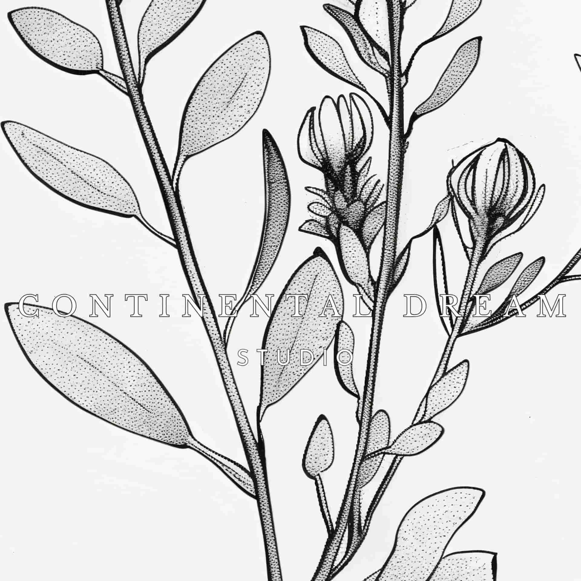 Minimalist Floral Poster - Modern Botanical Line Drawing Art Print - Etsy