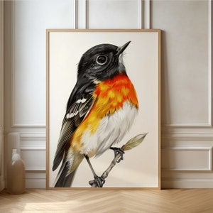 Beautiful Ornithology Poster - Detailed Bird Artwork for Nature Lovers