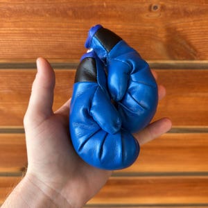 Peut inclure: Une paire de gants de boxe bleus avec des finitions noires. Les gants sont tenus dans une main avec les doigts tendus.