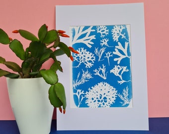 Handmade seaweed cyanotype print | A5 unique original print sold in A4 white mount