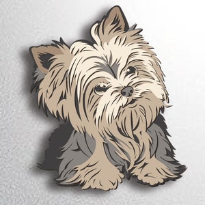 May include: A small, brown and gray Yorkshire Terrier dog with long, fluffy hair. The dog is looking to the right of the image.