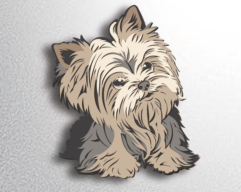 May include: A small, brown and gray Yorkshire Terrier dog with long, fluffy hair. The dog is looking to the right of the image.