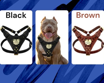 Stylish Spiked Collar & Leather Harness: Doberman, Pitbull, Rottweiler and More - Customized Dog Collars Available! Shop Now.