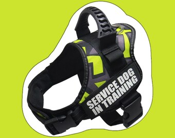 Reflective Adjustable Dog Harness, Leash Set: Personalized for Service Dogs and German Shepherds, Dobermans, Rottweilers, Shiba Inu and More