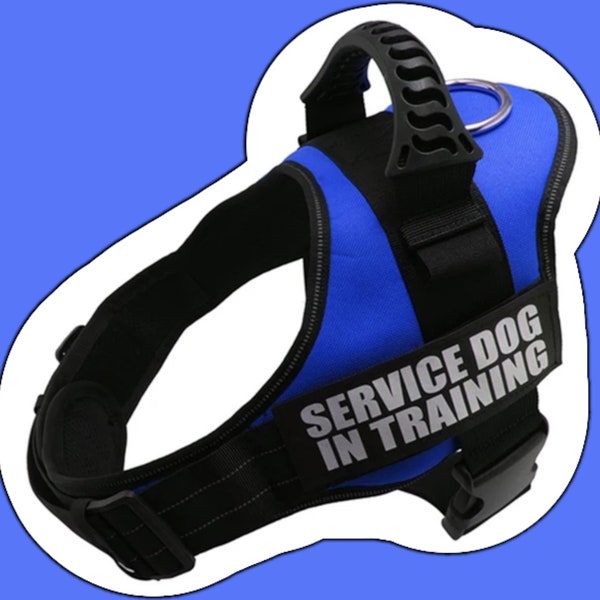 Reflective Adjustable Dog Harness, Leash Set: Personalized for Service Dogs and German Shepherds, Dobermans, Rottweilers, Shiba Inu and More