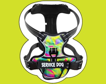 Luxury No-Choke Dog Harness and Leash: Harness Adjustable XS to XL, Ideal for Service Dogs. Customizable with Name, Reflective for Safety.