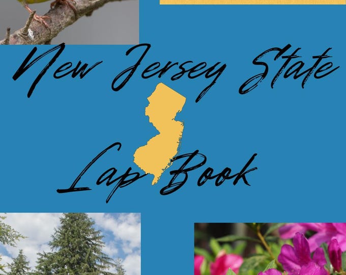State of New Jersey Lapbook