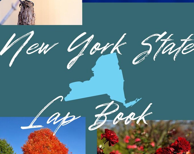State of New York Lap Book