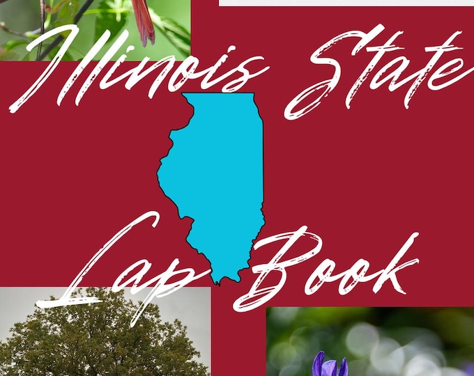 Illinois Lapbook