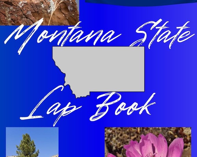 State of Montana Lapbook