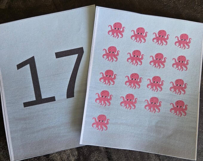 Octopus Counting Cards - Printed and Laminated