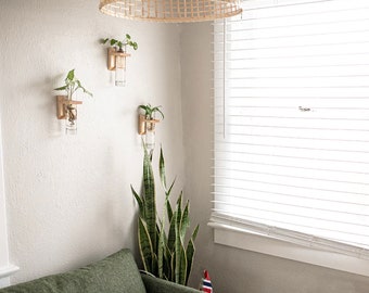 3 Maple Propagation Wall Hangers - Handmade in San Diego, easy to mount on the wall. Propagate and grow plants with ease