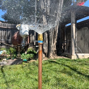 Garden Hose Sprinkler: Portable Lawn and Landscape Coverage (15 ft)