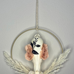 Coyote Skull Wall Art