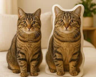 Custom Cat Pillow: Personalized Pet Pillow From Photo, Cat Memorial Gift, Custom Plushie