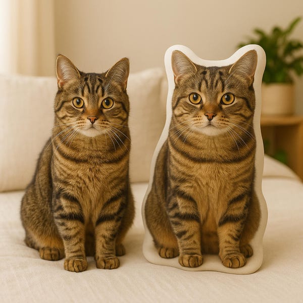 Custom Cat Pillow: Personalized Pet Pillow From Photo, Cat Memorial Gift, Custom Plushie