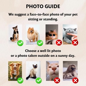 Op de afbeelding: Een gids getiteld "PHOTO GUIDE" met voorbeelden van acceptabele en onacceptabele foto's van huisdieren. De tekst suggereert foto's van huisdieren van aangezicht tot aangezicht, zittend of staand, genomen in goed licht of buiten.