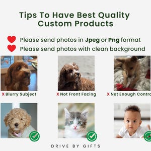 a bunch of pictures of dogs and cats