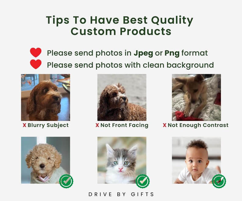 a bunch of pictures of dogs and cats