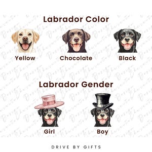 a group of dogs wearing different colored hats