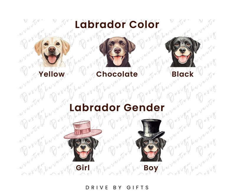 a group of dogs wearing different colored hats
